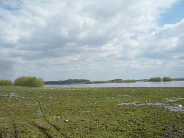 P1110696