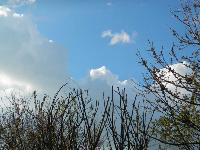 DSCN3399 - 2015_APRILIE