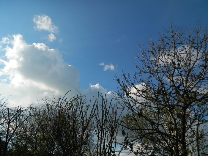 DSCN3401 - 2015_APRILIE