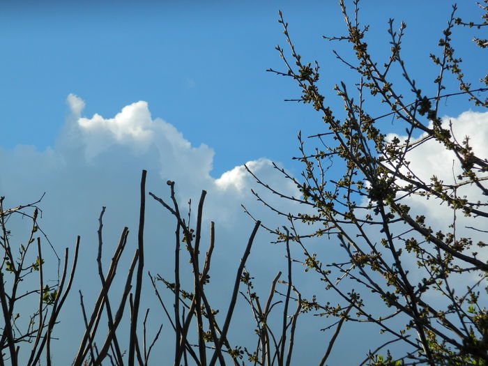 DSCN3402 - 2015_APRILIE