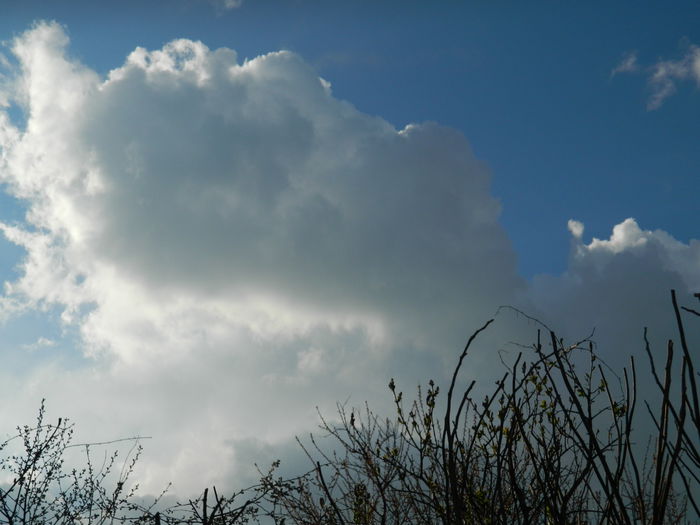 DSCN3404 - 2015_APRILIE