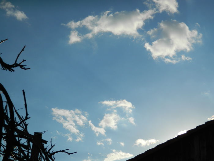 DSCN3405 - 2015_APRILIE