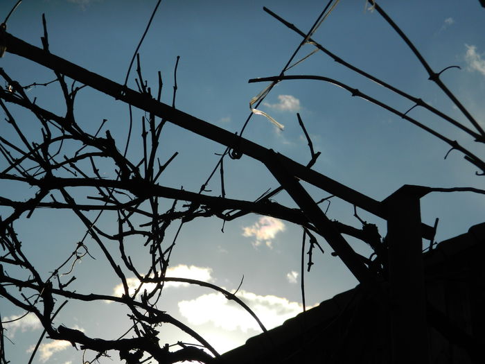 DSCN3406 - 2015_APRILIE