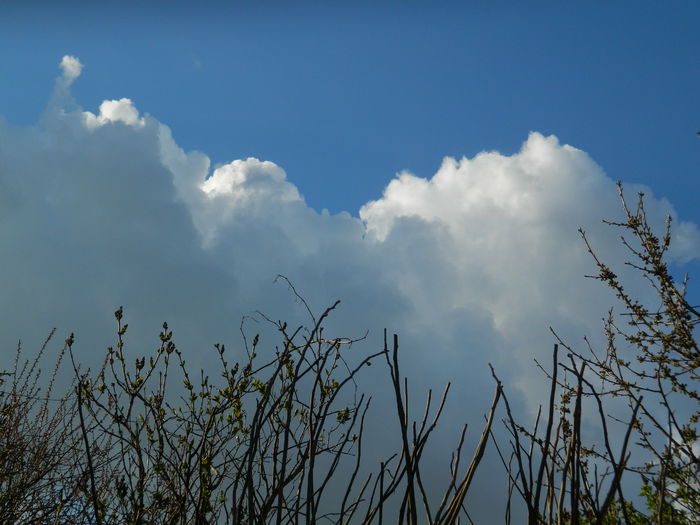 DSCN3407 - 2015_APRILIE