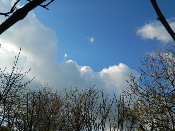 DSCN3408 - 2015_APRILIE