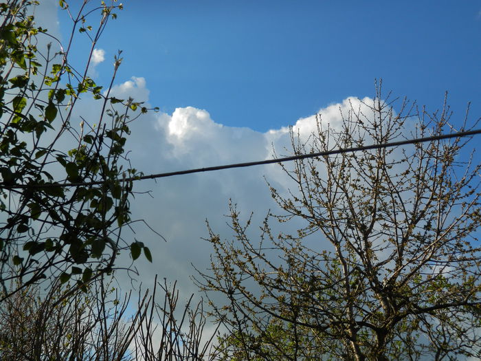 DSCN3412 - 2015_APRILIE