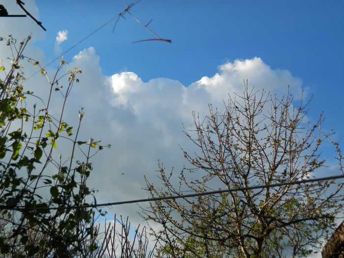 DSCN3414 - 2015_APRILIE