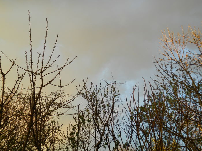 DSCN3417 - 2015_APRILIE