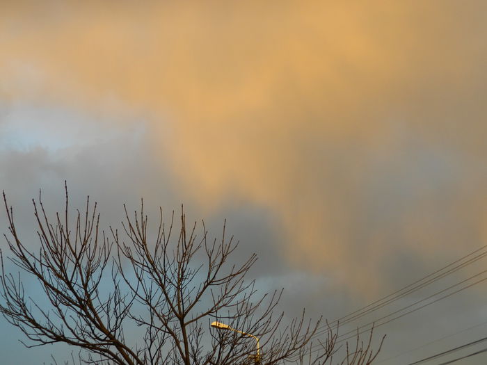 DSCN3436 - 2015_APRILIE