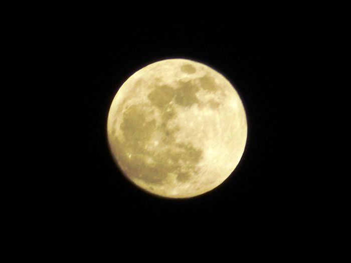 DSCN3443 - 2015_APRILIE