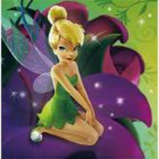 df4a9227bb22fabe - poze tinkerbell