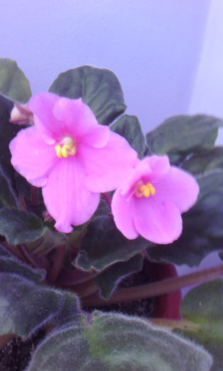 2015-04-09 16.48.43