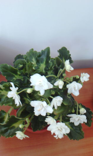 2015-04-09 16.57.25
