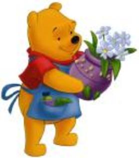 a37154b6b5208fa2 - poze winnie the pooh