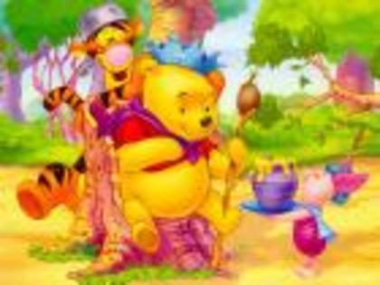 5c0162a734d2411c - poze winnie the pooh