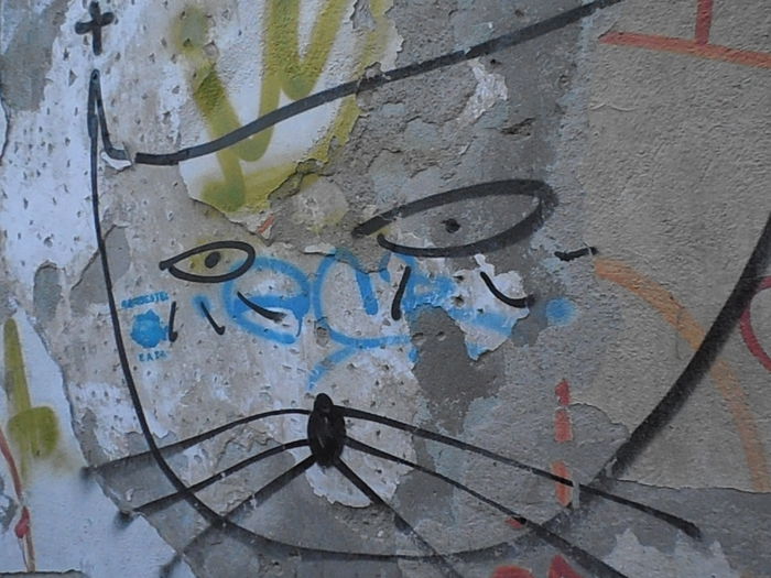 P4090174 - CALEIDOSCOP