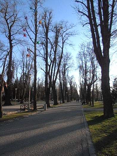 P4090186 - CALEIDOSCOP