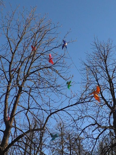 P4090207 - CALEIDOSCOP