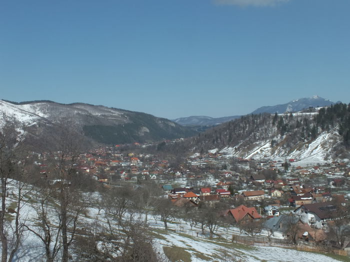 DSCF0237