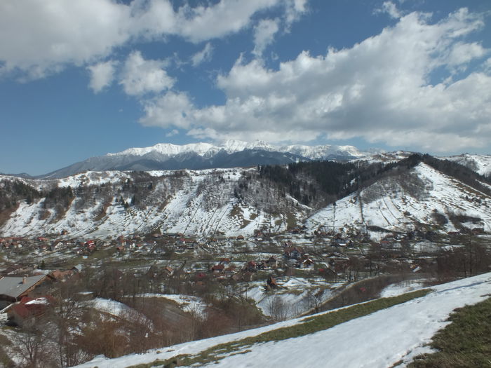 DSCF0238