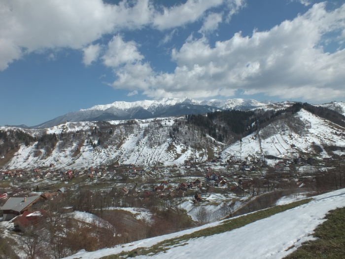 DSCF0239