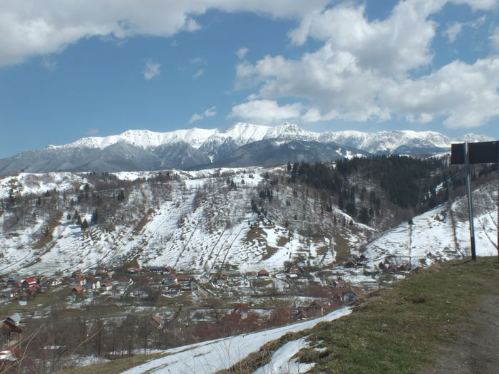 DSCF0244