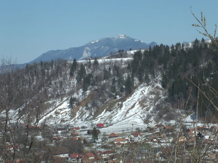 DSCF0245