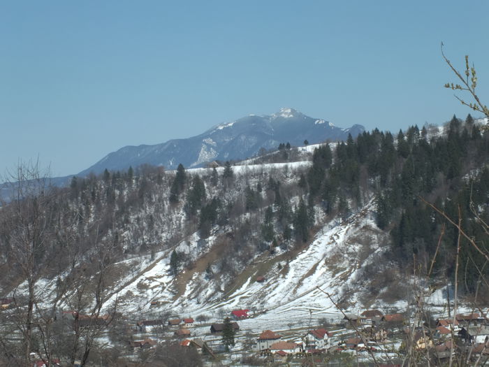 DSCF0246