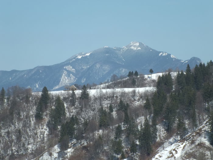 DSCF0247