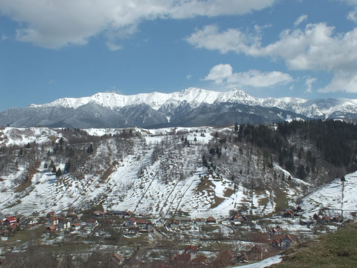 DSCF0248