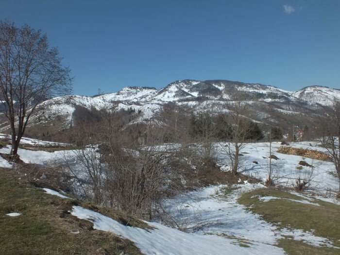 DSCF0254