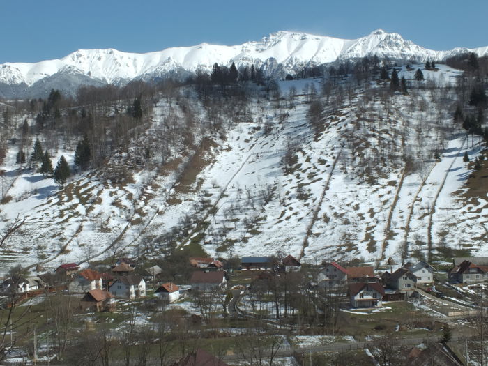DSCF0265