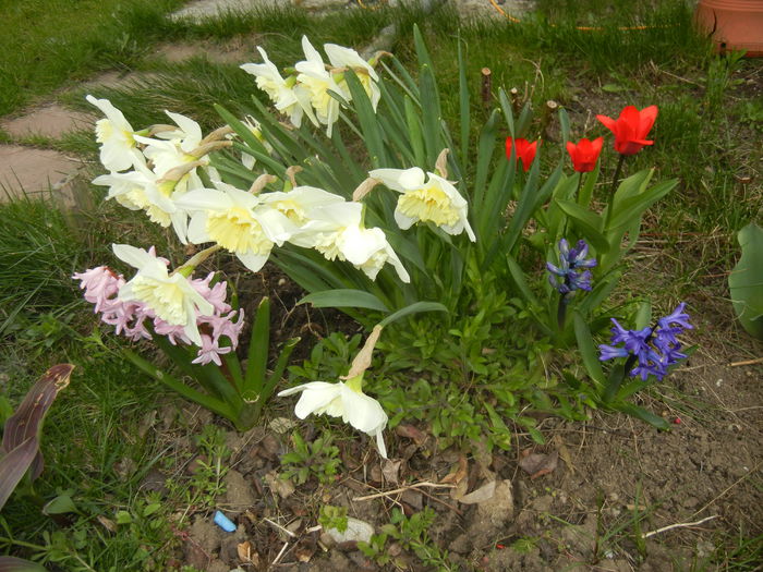 2015, April 01