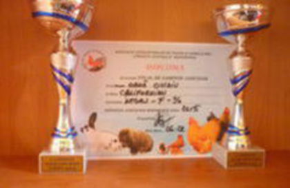 CAMPIONI & OVIDIUOANA70