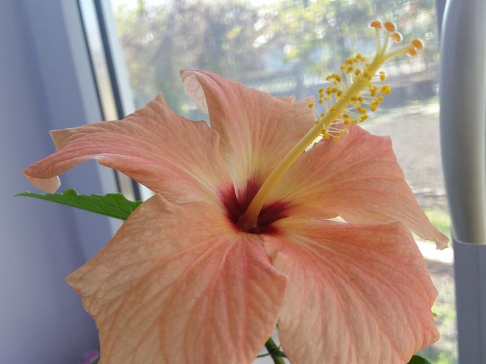 20150410_114537
