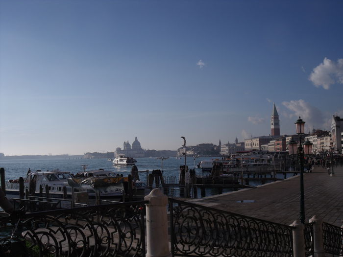 Picture 280 - venetia 2014