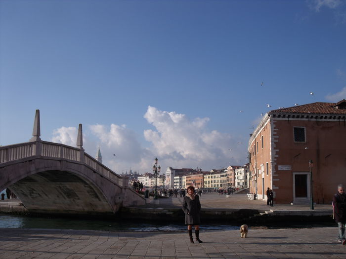 Picture 283 - venetia 2014