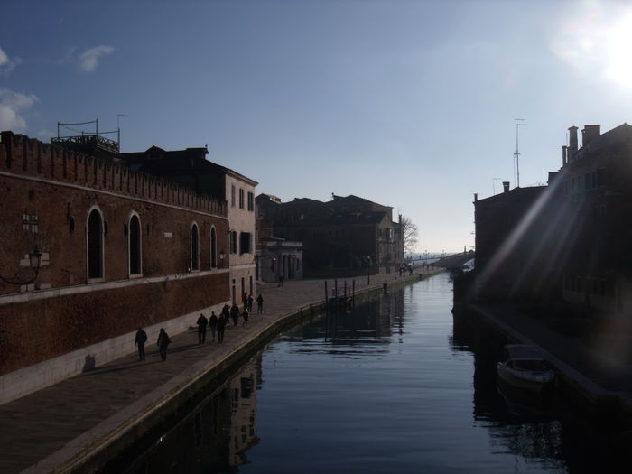 Picture 286 - venetia 2014