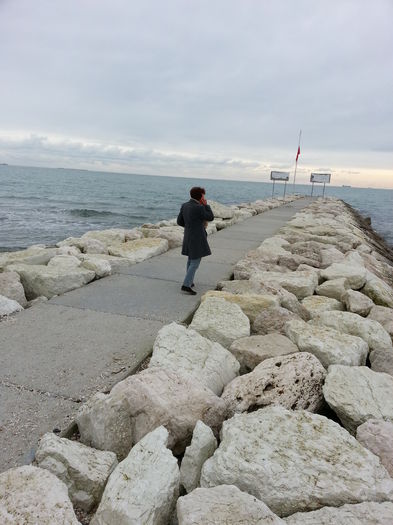 Picture 751 - venetia 2014