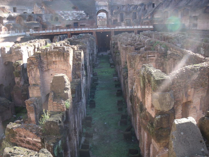 Picture 391 - roma 2015