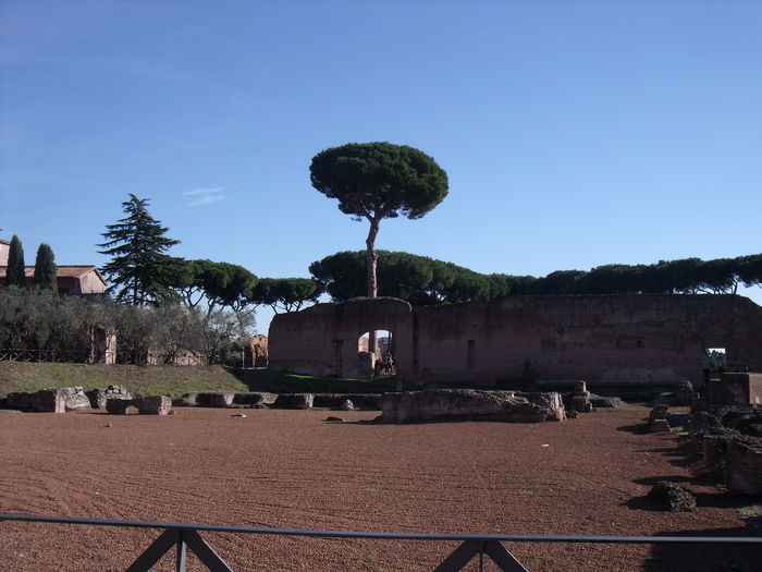Picture 459 - roma 2015