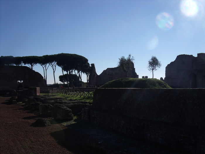 Picture 460 - roma 2015