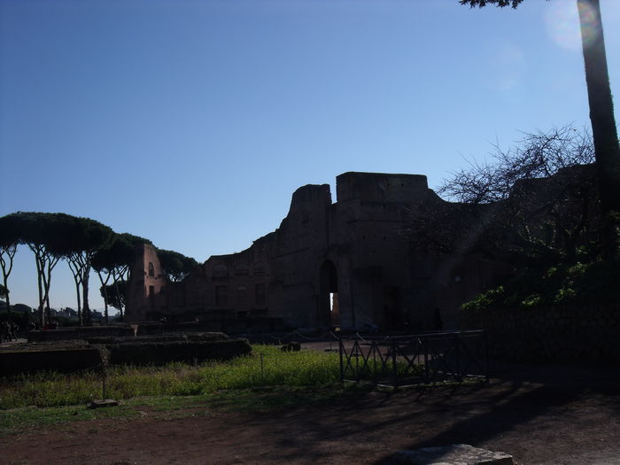 Picture 461 - roma 2015