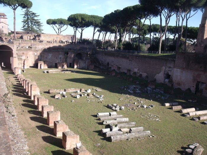 Picture 465 - roma 2015