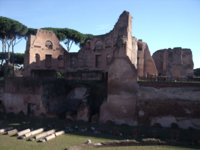 Picture 466 - roma 2015