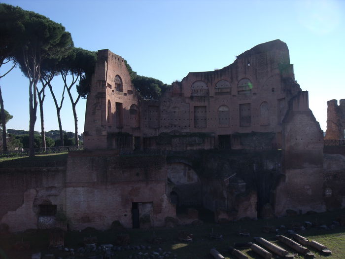 Picture 468 - roma 2015