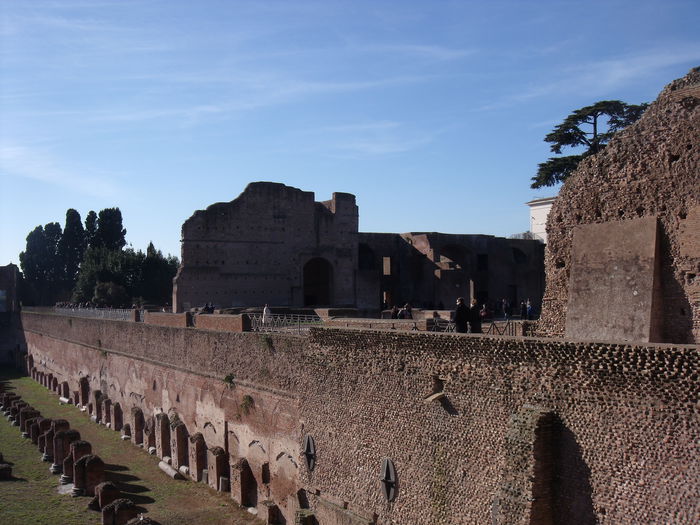Picture 473 - roma 2015