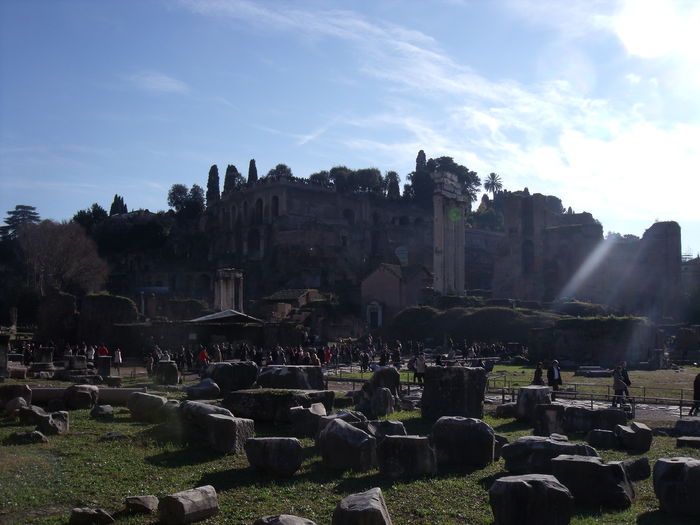 Picture 484 - roma 2015