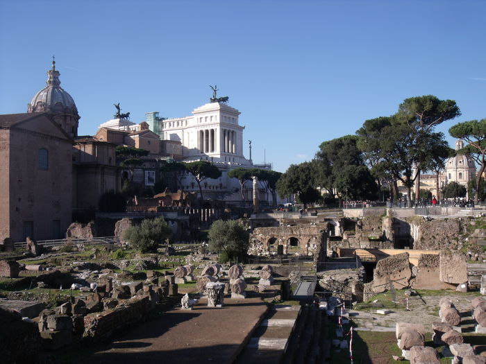 Picture 488 - roma 2015