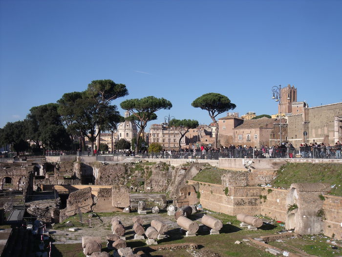 Picture 489 - roma 2015